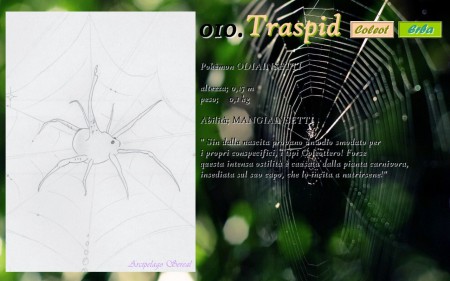 010 Traspid